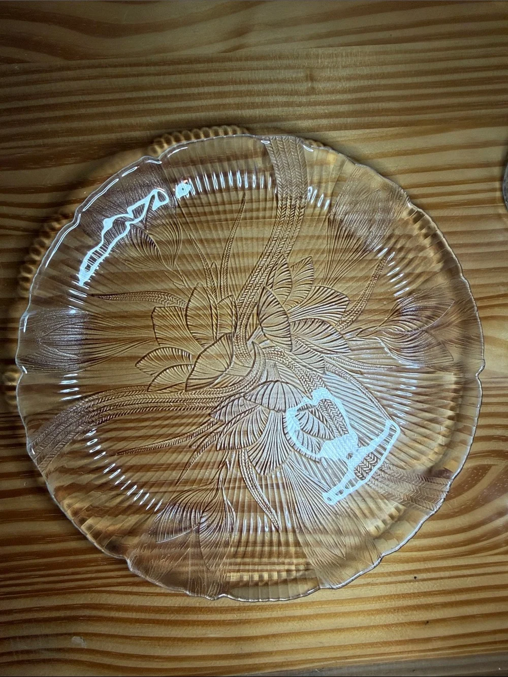 Vintage Arcoroc France Canterbury Crocus Clear Glass 2 - 11” Dinner Plates